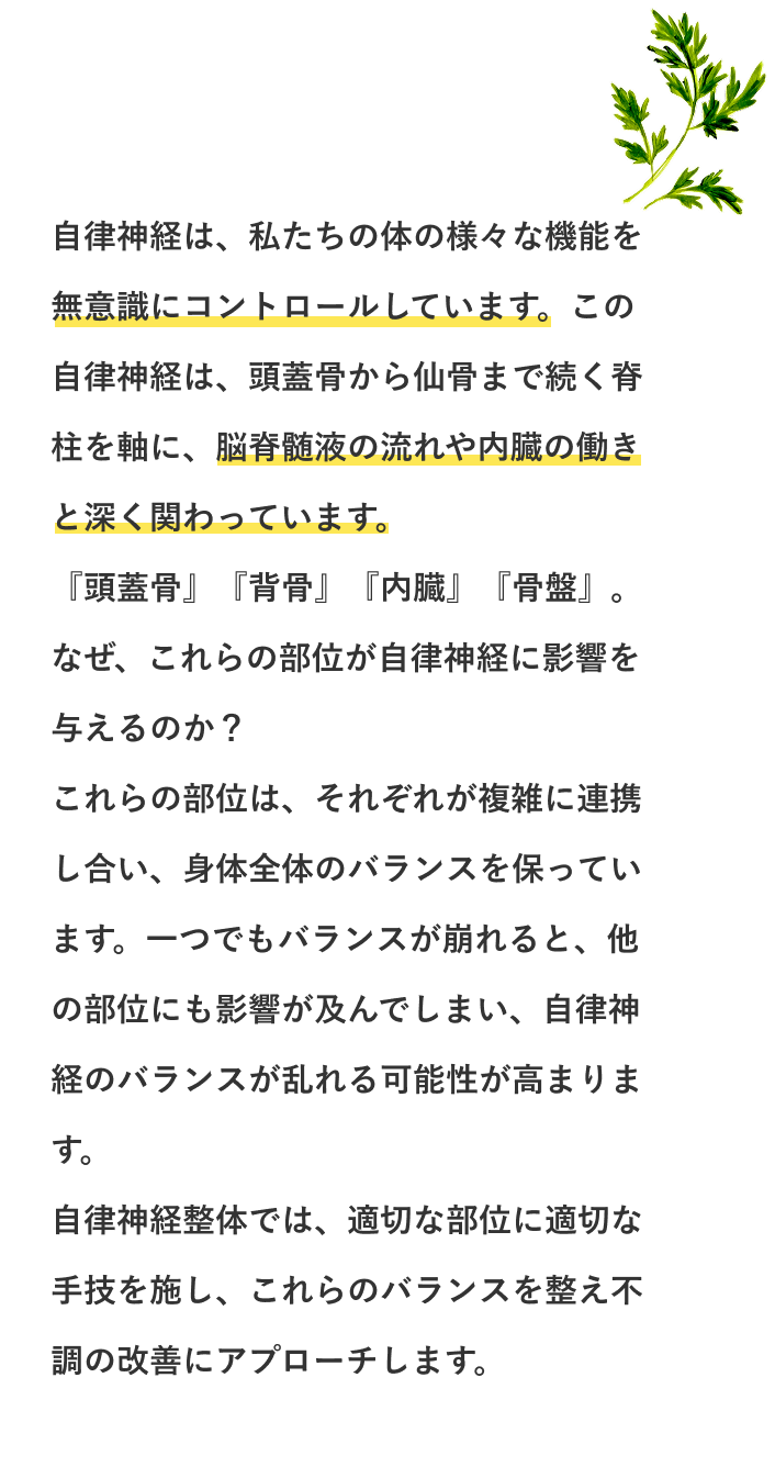 自律神経整体